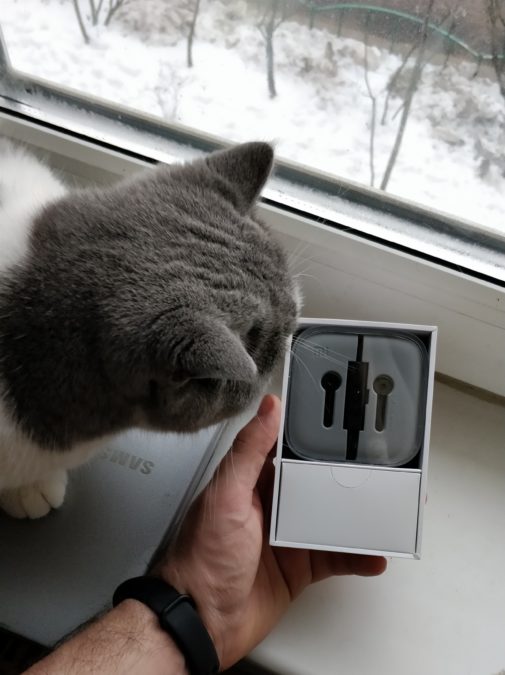 Not Review Xiaomi Mi ANC Type-C