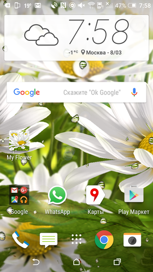 Live wallpaper on a spring flower theme